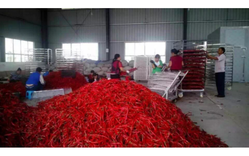 2021貴州辣椒加工產(chǎn)值150億元以上，空氣源熱泵烘干迎來(lái)爆發(fā)機(jī)遇